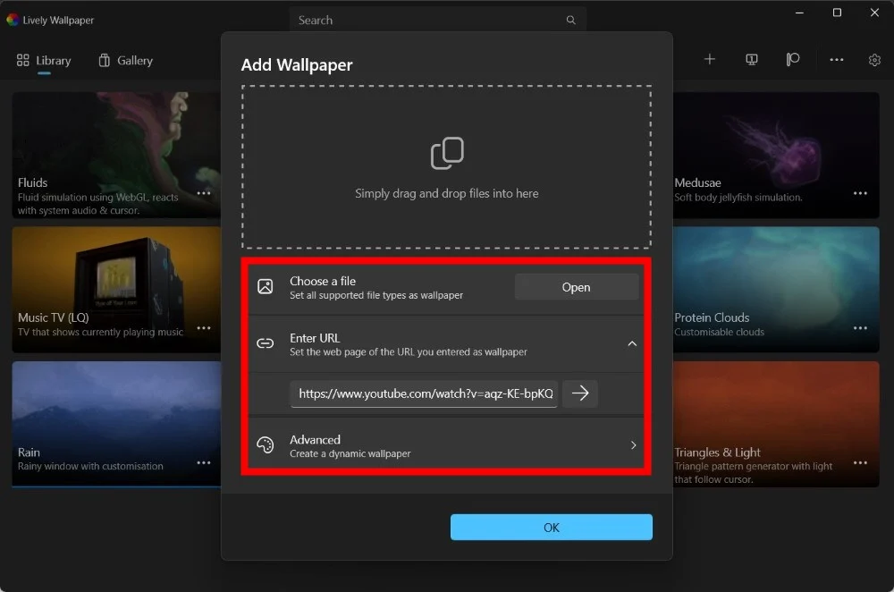 Different wallpaper types available in Lively